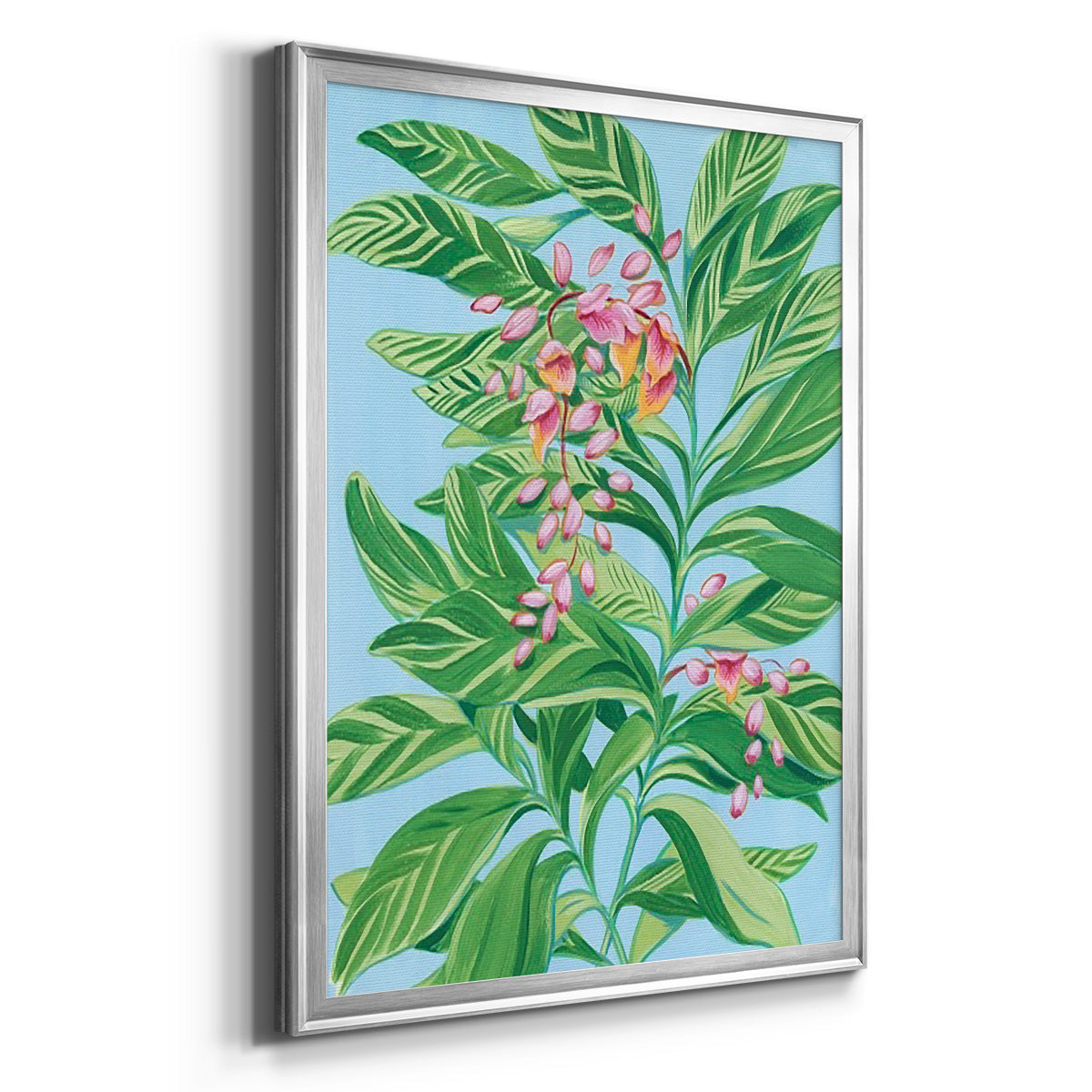 Tropical Shell Ginger II Premium Framed Print - Ready to Hang