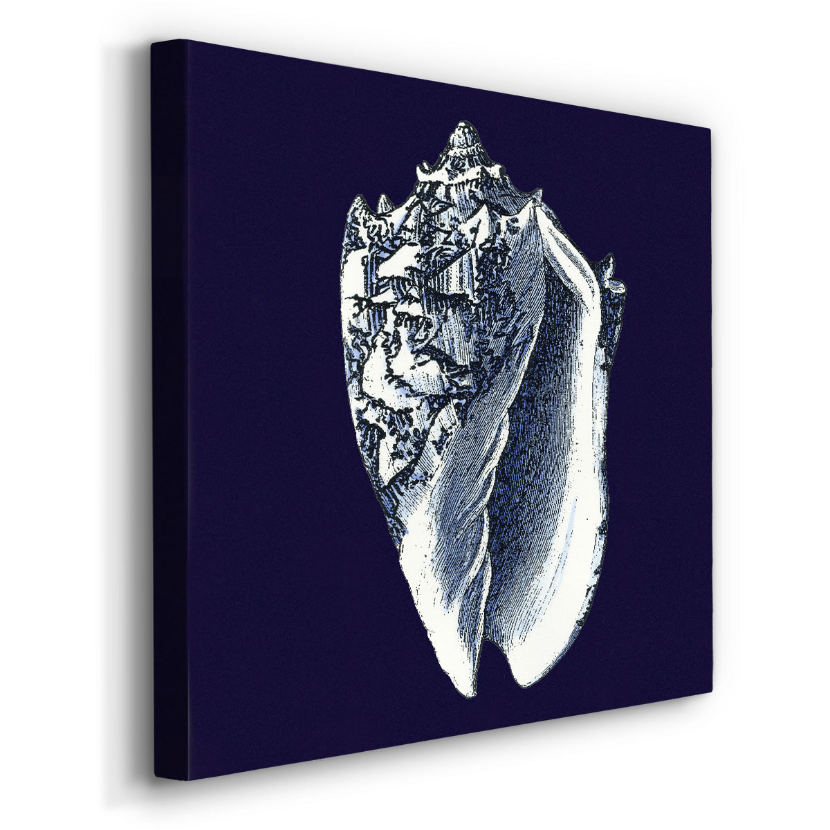 Indigo Shells II-Premium Gallery Wrapped Canvas - Ready to Hang
