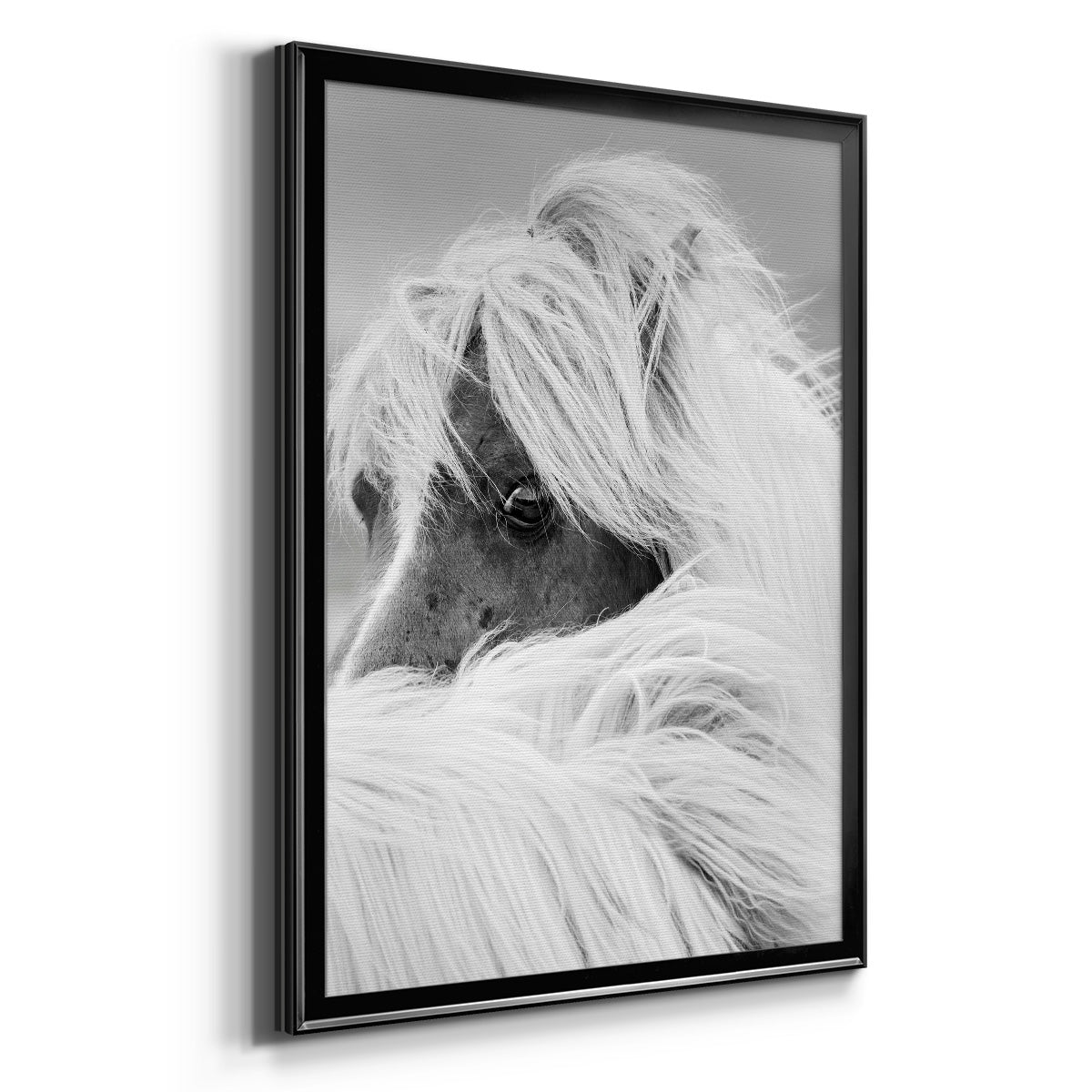 Island Pony II Premium Framed Print - Ready to Hang