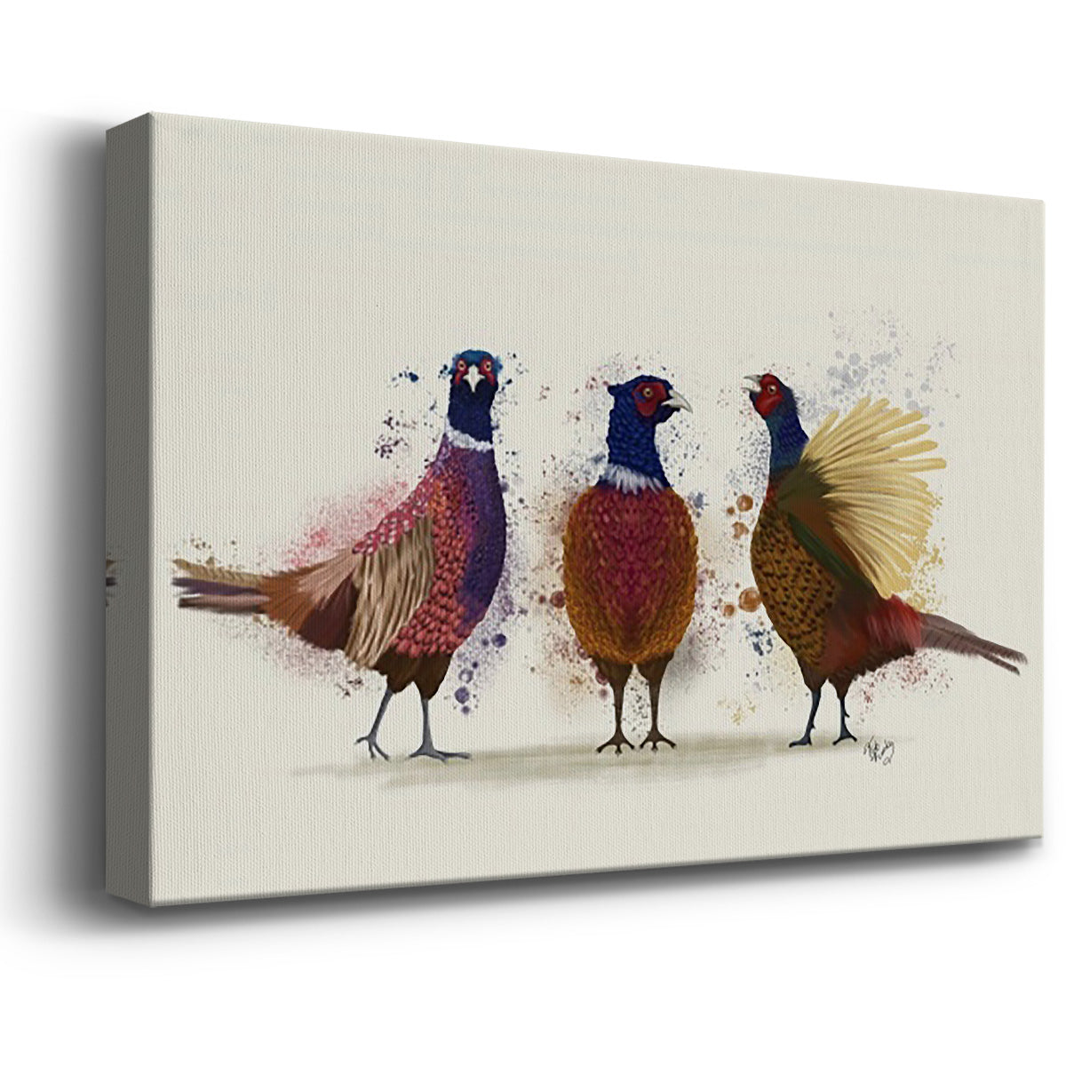 Pheasant Trio Premium Gallery Wrapped Canvas - Ready to Hang