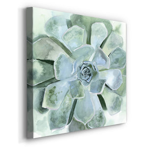 Verdant Succulent III-Premium Gallery Wrapped Canvas - Ready to Hang