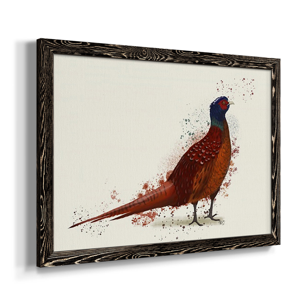 Pheasant Splash 4-Premium Framed Canvas - Ready to Hang