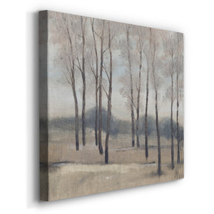 Soft Light II-Premium Gallery Wrapped Canvas - Ready to Hang