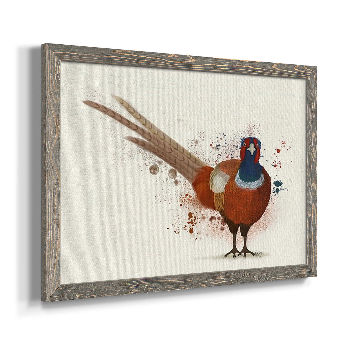 Pheasant Splash 7-Premium Framed Canvas - Ready to Hang