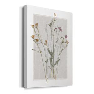 Field Study Page II Premium Gallery Wrapped Canvas - Ready to Hang