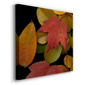 Small Vivid Leaves III (ST)-Premium Gallery Wrapped Canvas - Ready to Hang