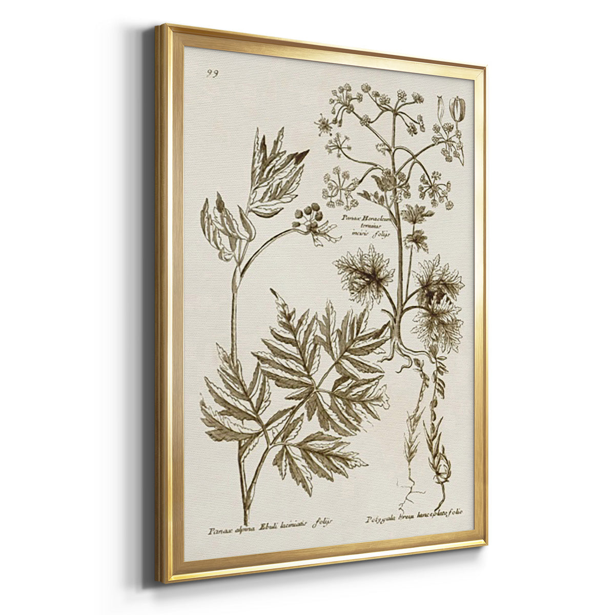 Sepia Botanical Journal III Premium Framed Print - Ready to Hang