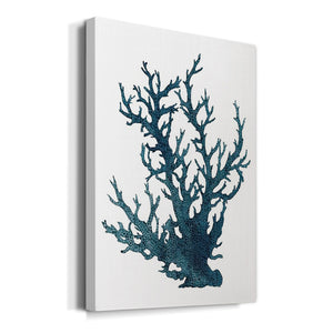Coral Souvenirs IV Premium Gallery Wrapped Canvas - Ready to Hang