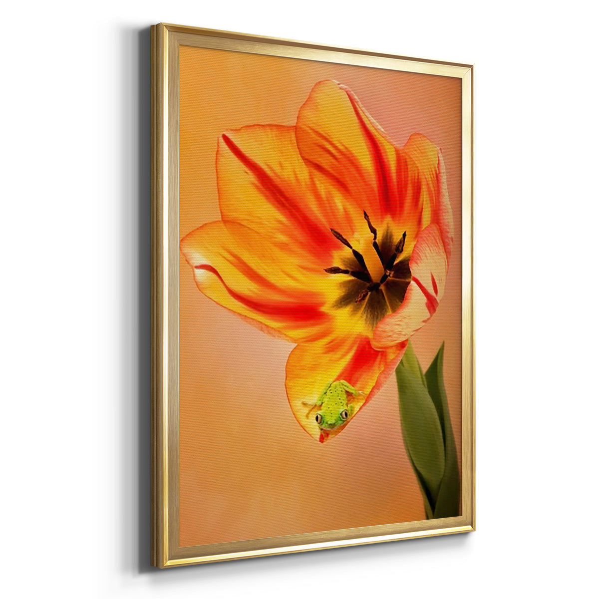 Hanging On VI Premium Framed Print - Ready to Hang