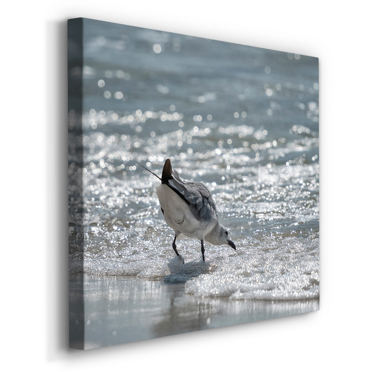 Bottoms Up-Premium Gallery Wrapped Canvas - Ready to Hang