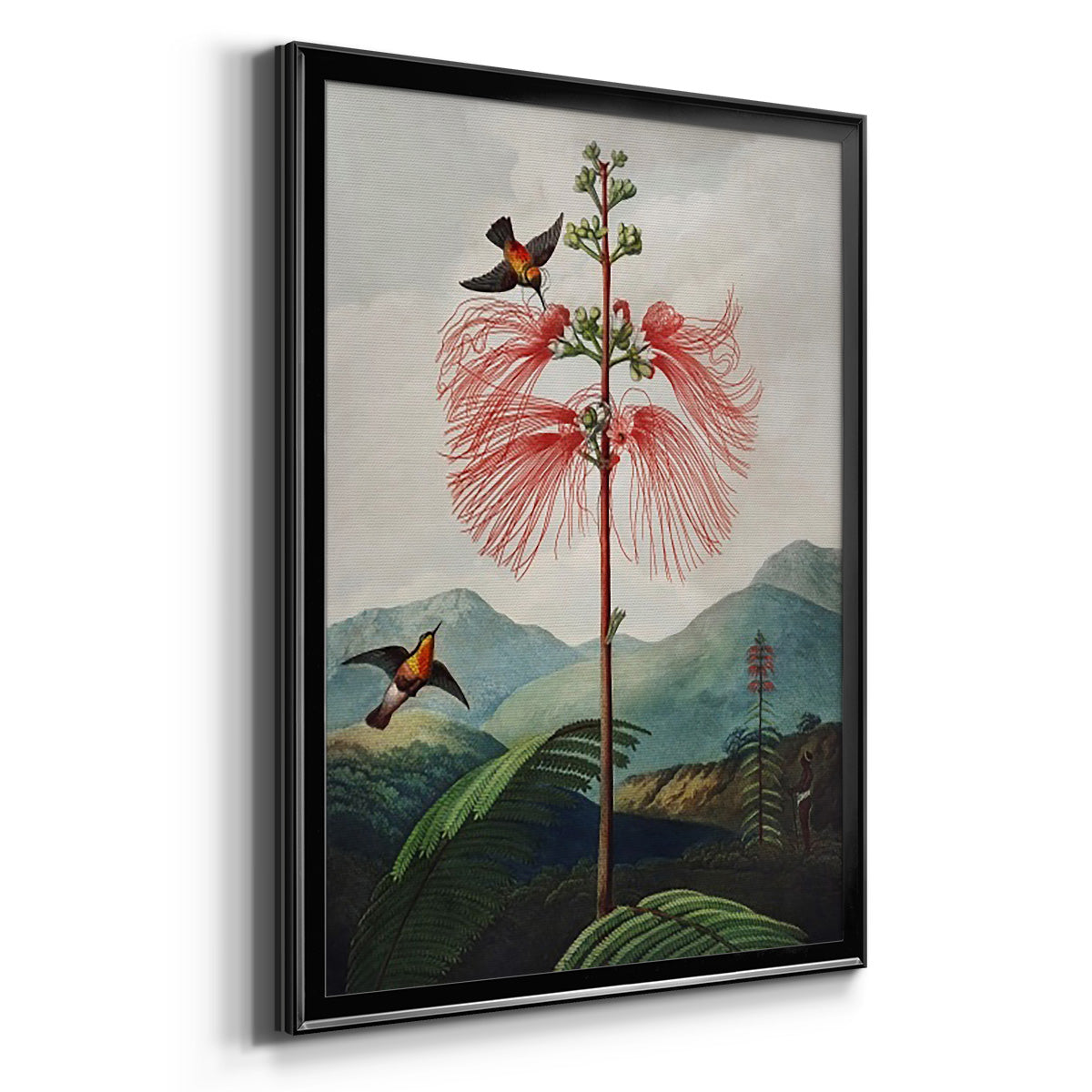 Temple of Flora VIII Premium Framed Print - Ready to Hang