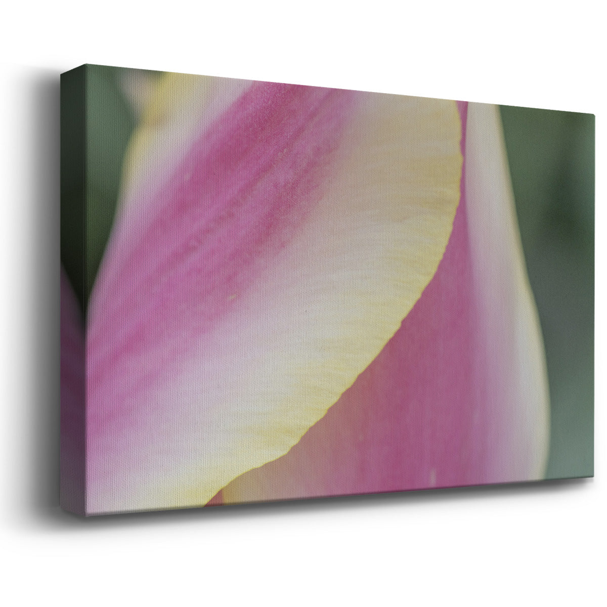 Delicate Premium Gallery Wrapped Canvas - Ready to Hang