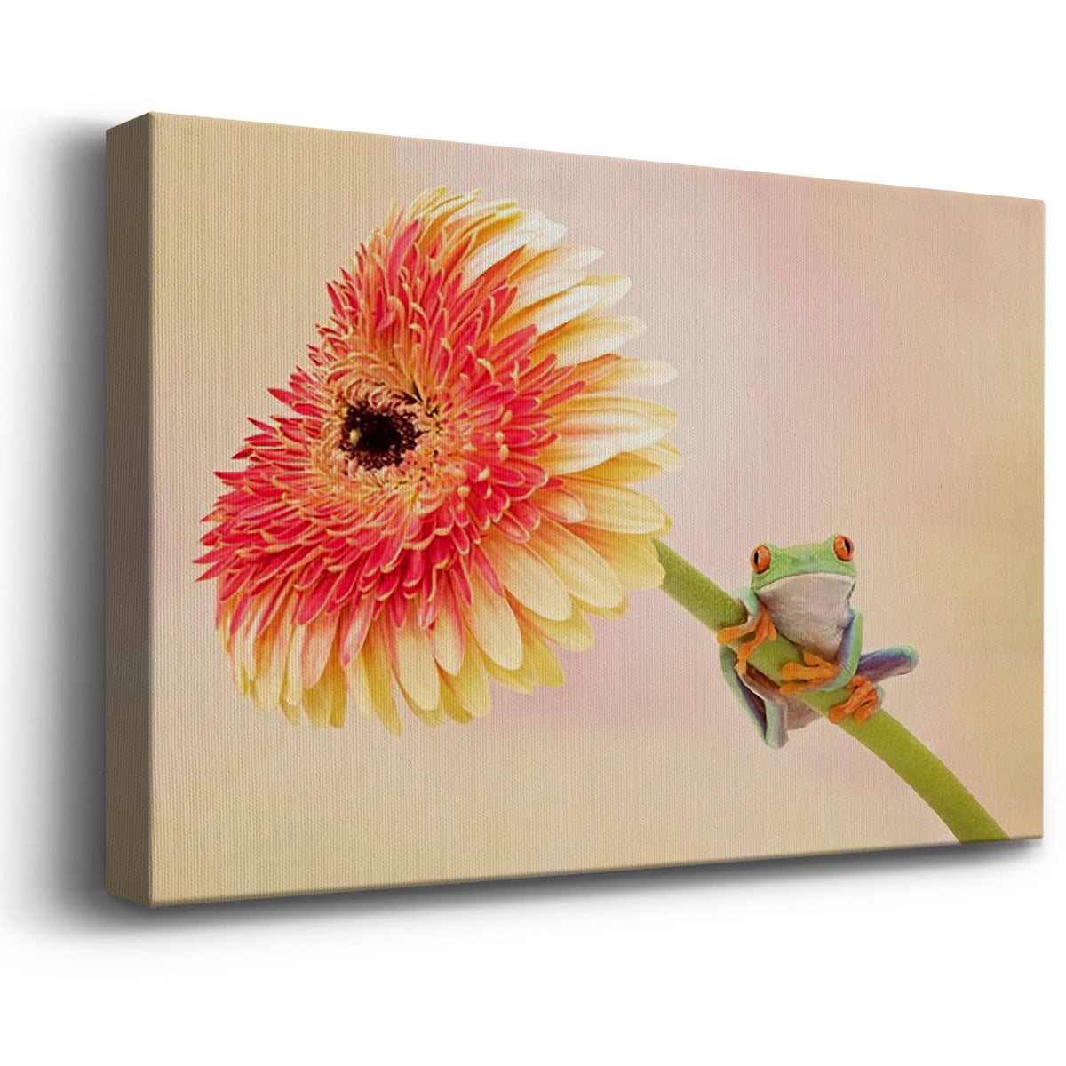 Hanging On IX Premium Gallery Wrapped Canvas - Ready to Hang