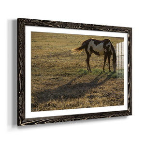 Long Shadow-Premium Framed Print - Ready to Hang