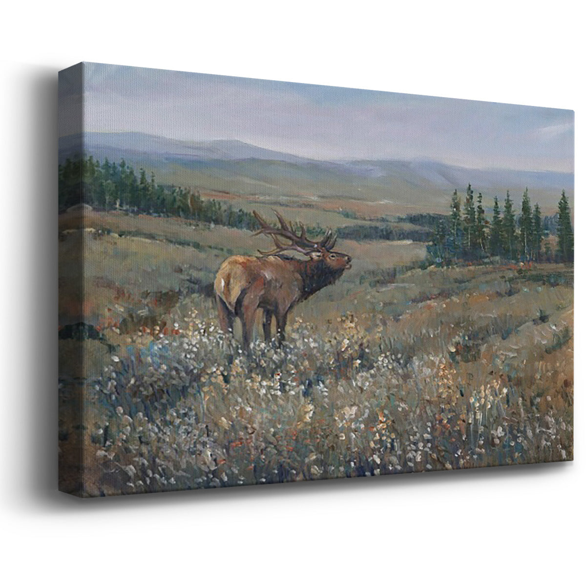 Western Wildlife I Premium Gallery Wrapped Canvas - Ready to Hang