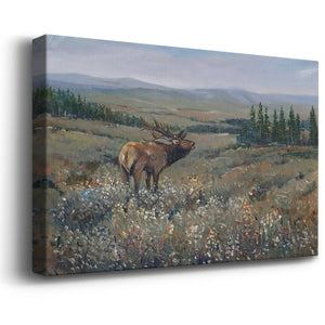 Western Wildlife I Premium Gallery Wrapped Canvas - Ready to Hang