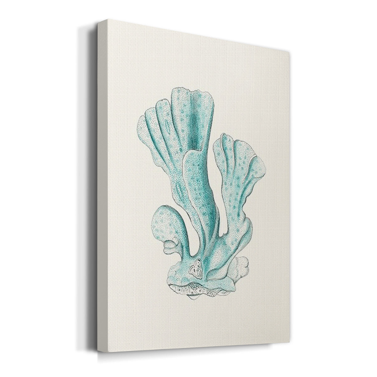 Antique Coastal Coral XI Premium Gallery Wrapped Canvas - Ready to Hang