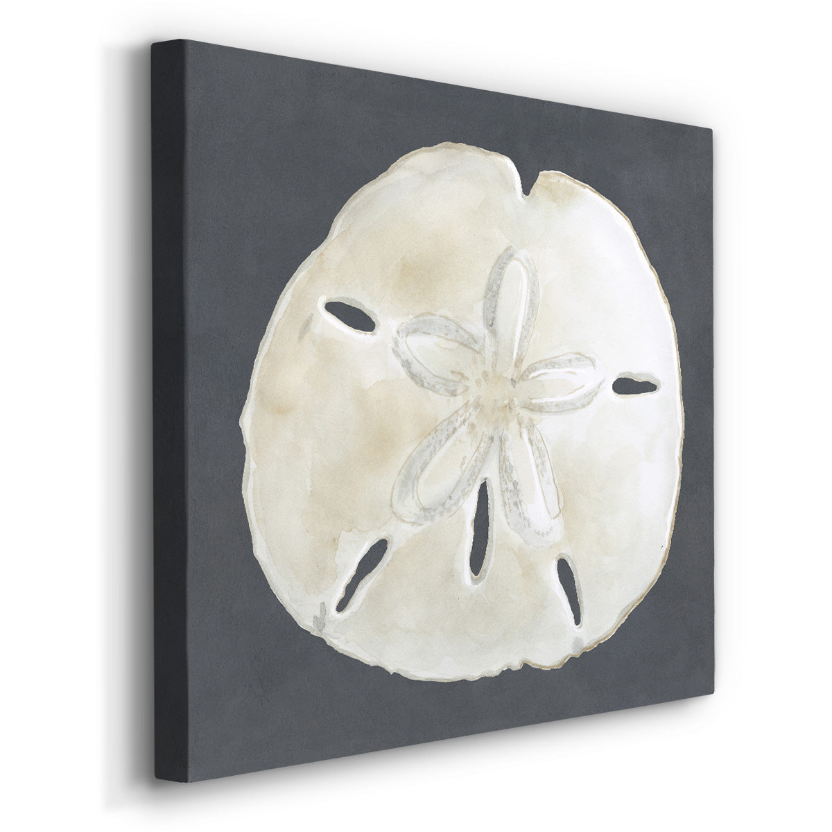 Shell on Slate II-Premium Gallery Wrapped Canvas - Ready to Hang