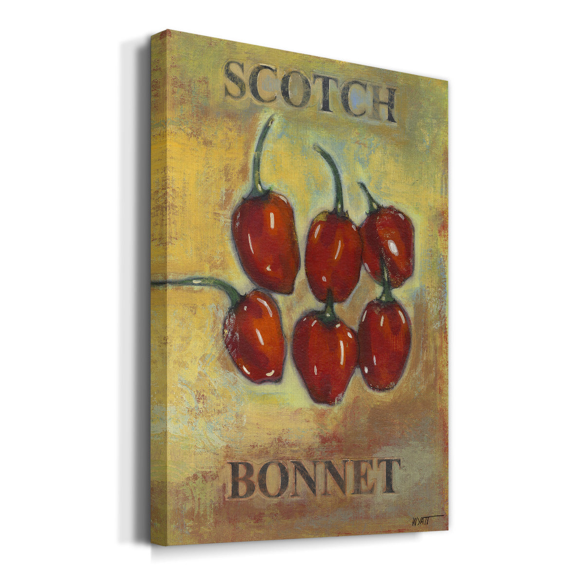 Scotch Bonnet Premium Gallery Wrapped Canvas - Ready to Hang