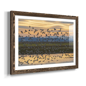 Sunset Flight-Premium Framed Print - Ready to Hang