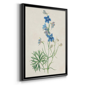 Flowers of the Seasons II Premium Framed Print - Ready to Hang