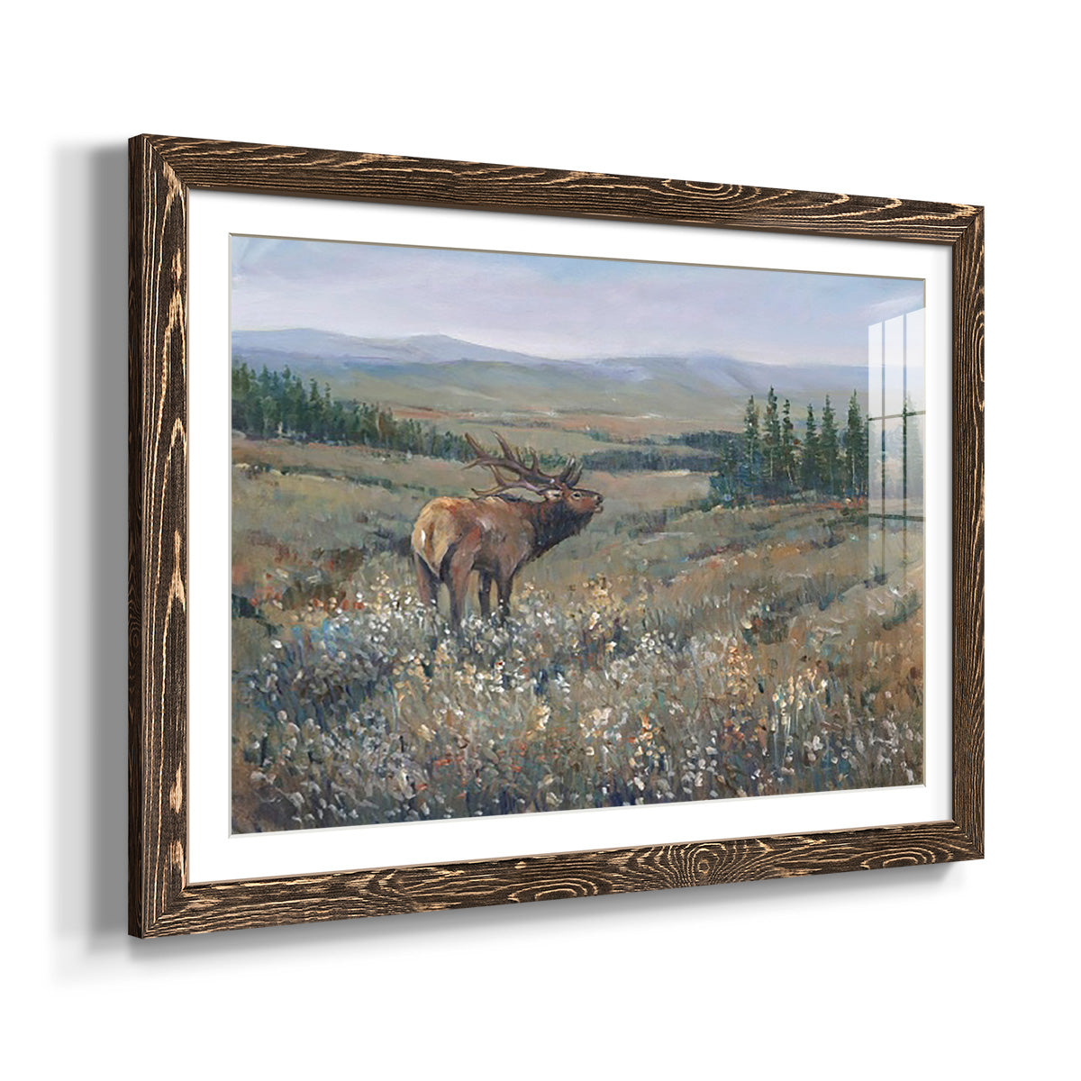 Western Wildlife I-Premium Framed Print - Ready to Hang