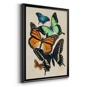 Collaged Butterflies I Premium Framed Print - Ready to Hang