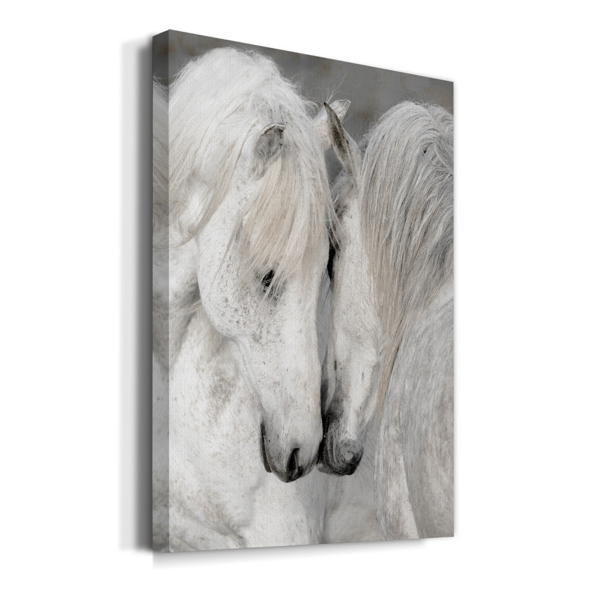 Affection II Premium Gallery Wrapped Canvas - Ready to Hang
