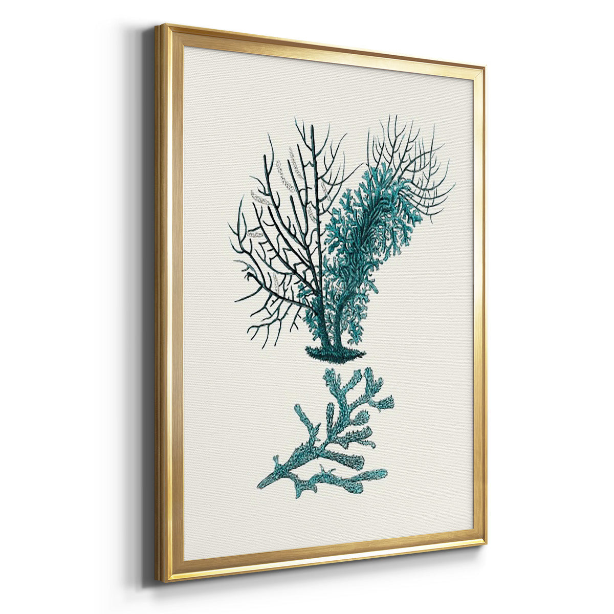Antique Coastal Coral VI Premium Framed Print - Ready to Hang