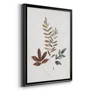 Autumn Leaves II Premium Framed Print - Ready to Hang