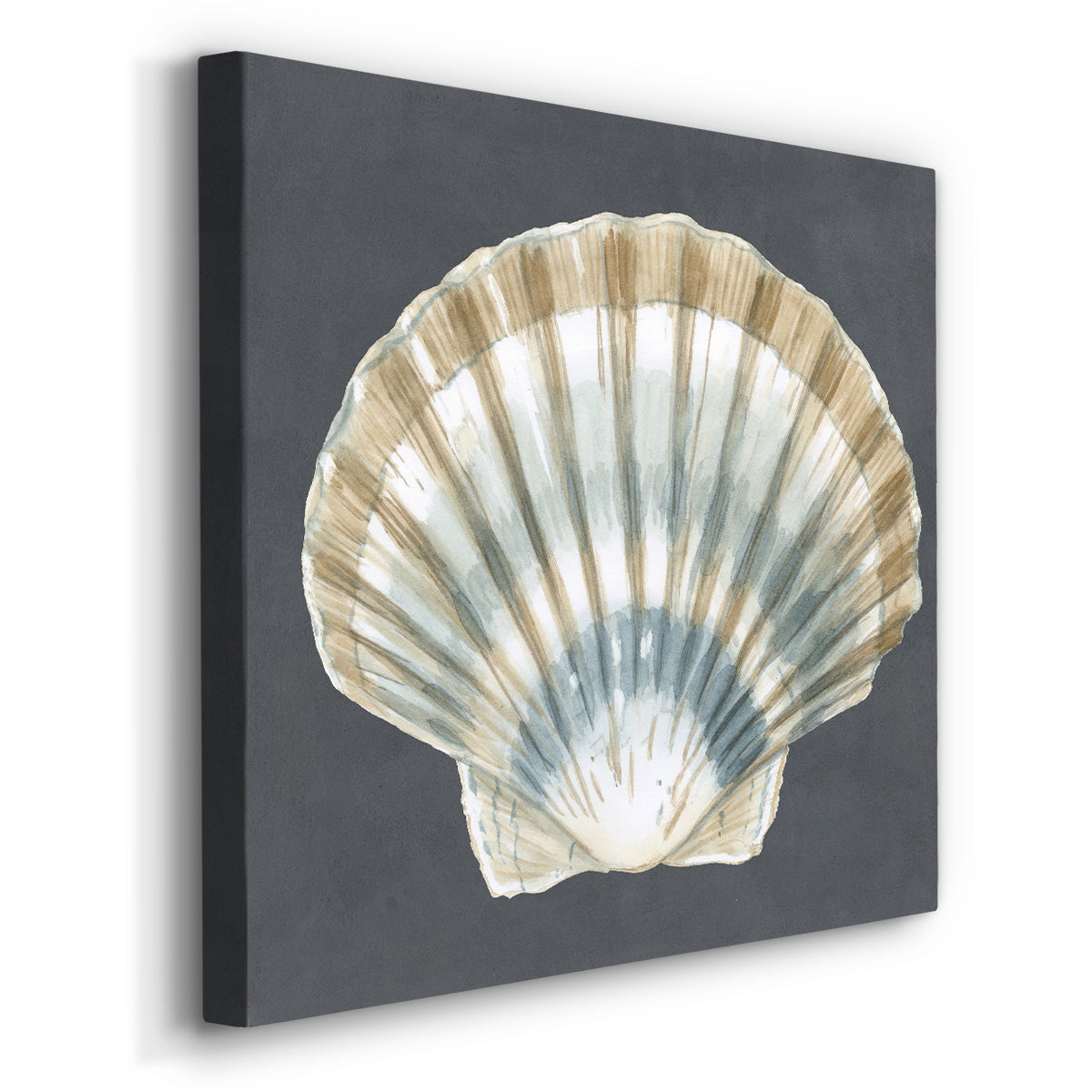 Shell on Slate III-Premium Gallery Wrapped Canvas - Ready to Hang