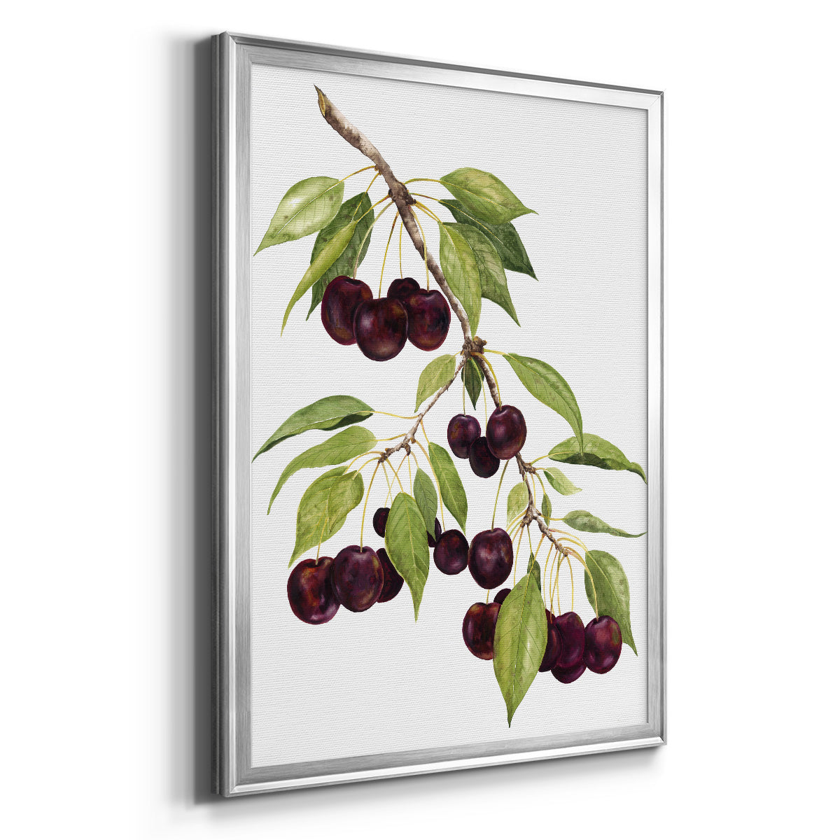 Watercolor Cherries Premium Framed Print - Ready to Hang