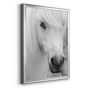 Island Pony I Premium Framed Print - Ready to Hang