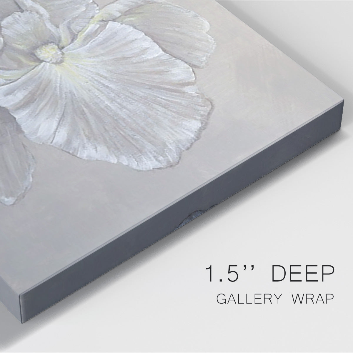 White Iris II Premium Gallery Wrapped Canvas - Ready to Hang