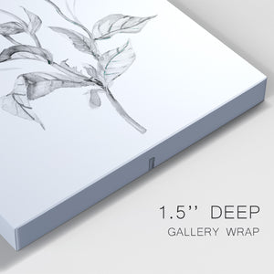 Wild Poppy Sketch Premium Gallery Wrapped Canvas - Ready to Hang