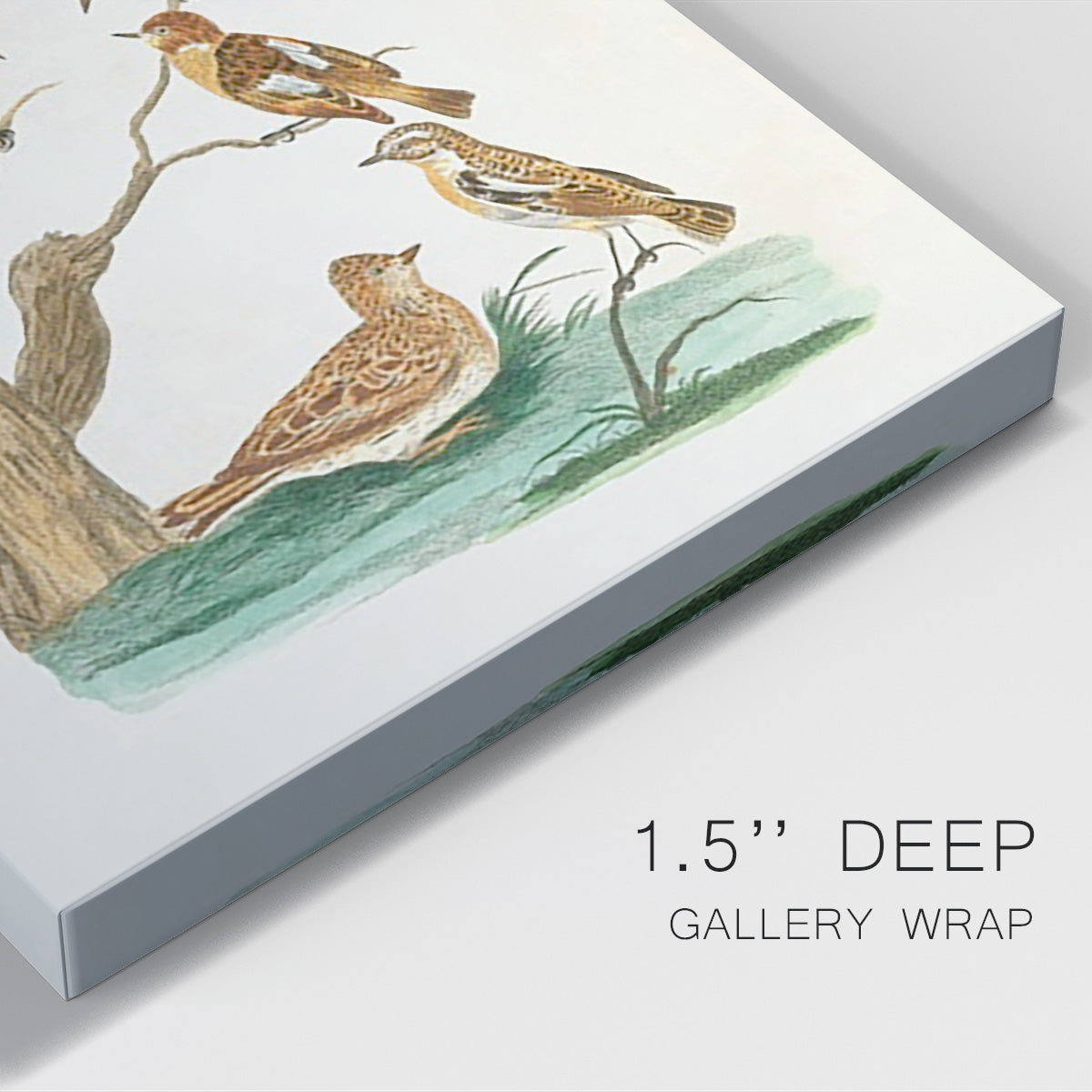 Antique Birds in Nature III Premium Gallery Wrapped Canvas - Ready to Hang
