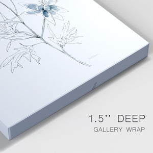 Indigo Sketch II Premium Gallery Wrapped Canvas - Ready to Hang