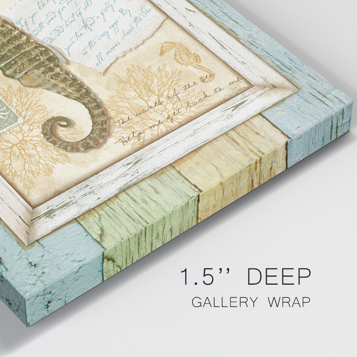 Sea Treasures X-Premium Gallery Wrapped Canvas - Ready to Hang