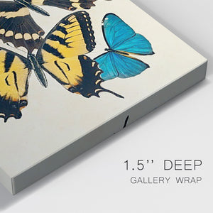 Collaged Butterflies II Premium Gallery Wrapped Canvas - Ready to Hang