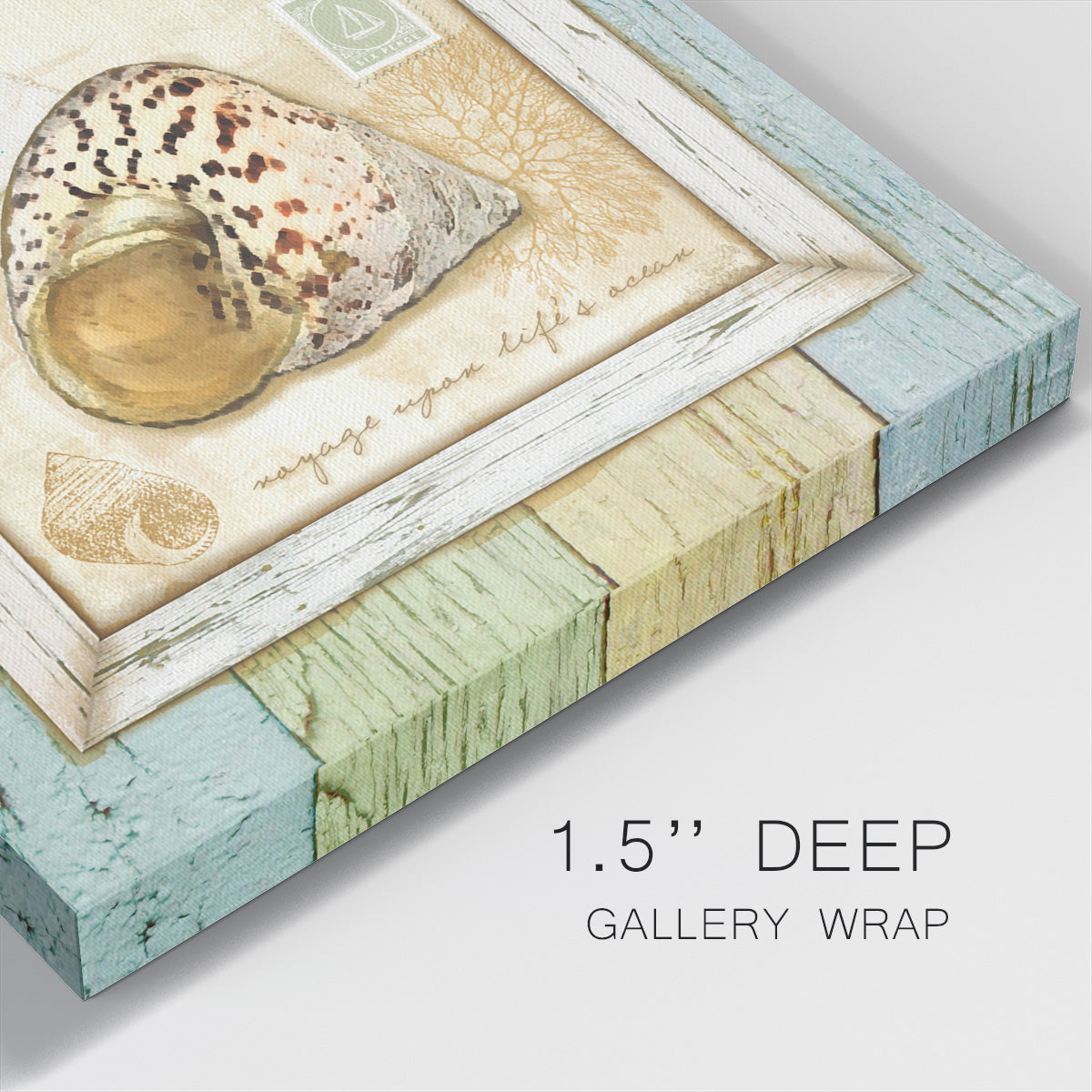 Sea Treasures II-Premium Gallery Wrapped Canvas - Ready to Hang