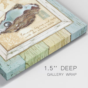 Sea Treasures IX-Premium Gallery Wrapped Canvas - Ready to Hang