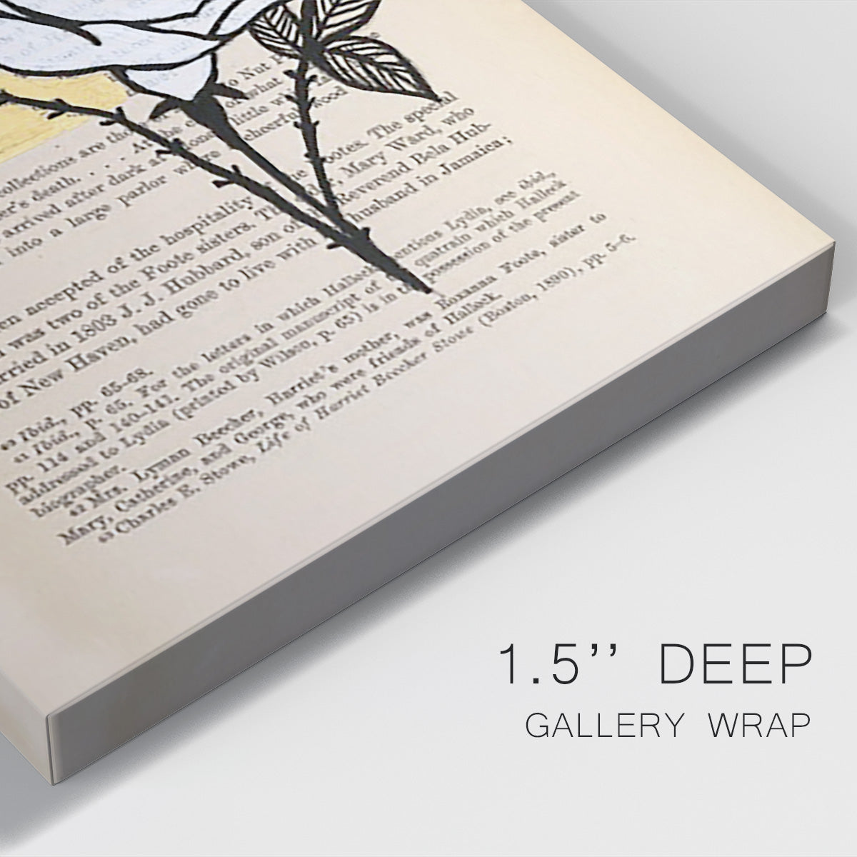 Floral Diary III Premium Gallery Wrapped Canvas - Ready to Hang