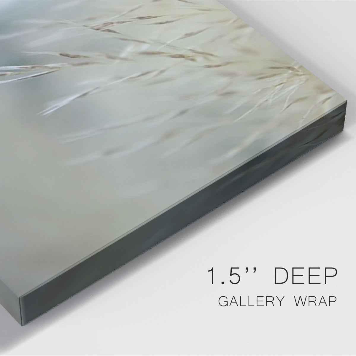 Subtle Grasses III Premium Gallery Wrapped Canvas - Ready to Hang