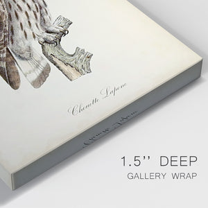 French Owls III Premium Gallery Wrapped Canvas - Ready to Hang