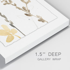 Branch Contours VIII-Premium Gallery Wrapped Canvas - Ready to Hang