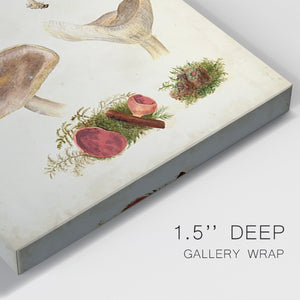 Mushroom Species III Premium Gallery Wrapped Canvas - Ready to Hang