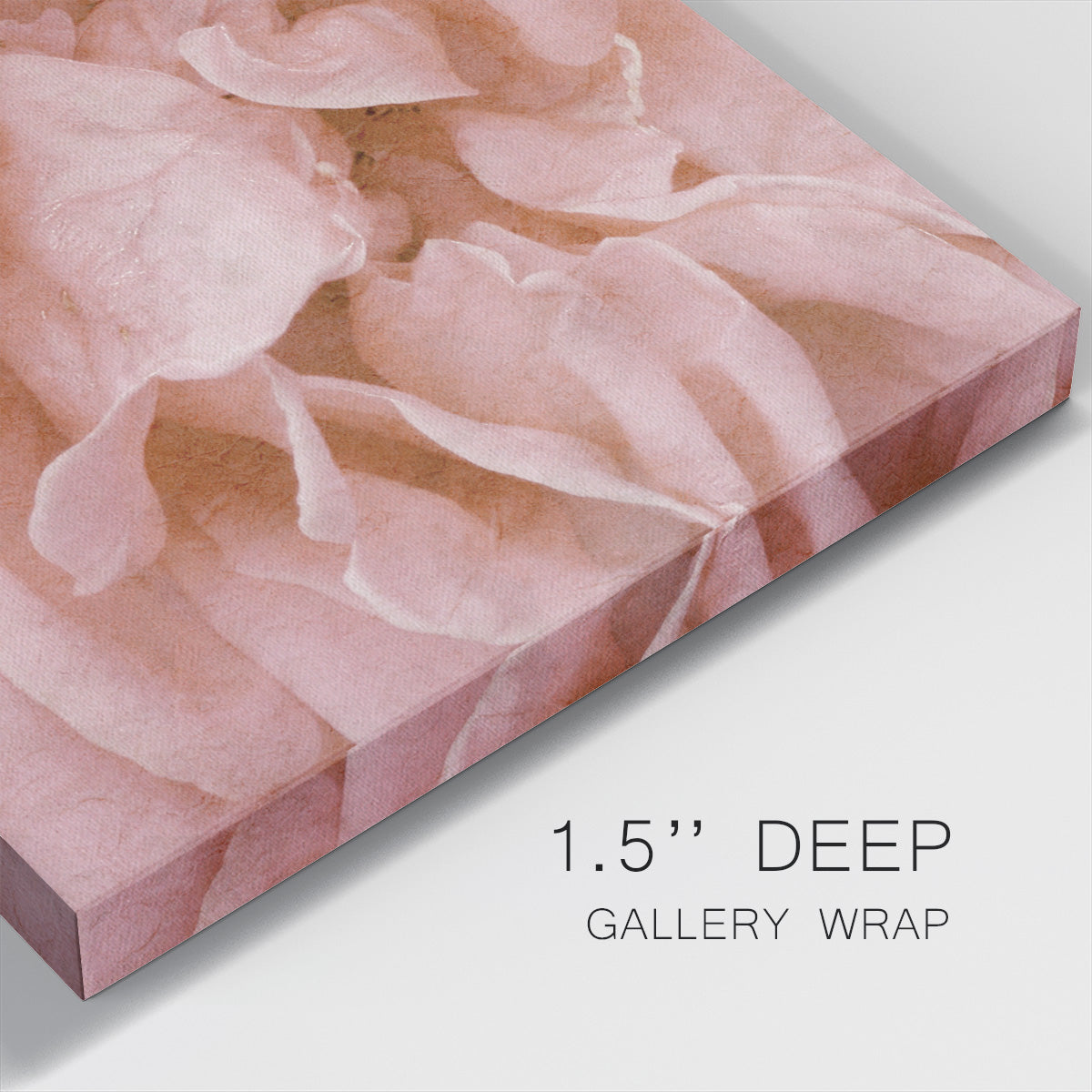 Wall Flower IV-Premium Gallery Wrapped Canvas - Ready to Hang