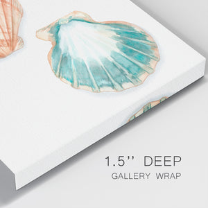 Watercolor Shells I-Premium Gallery Wrapped Canvas - Ready to Hang