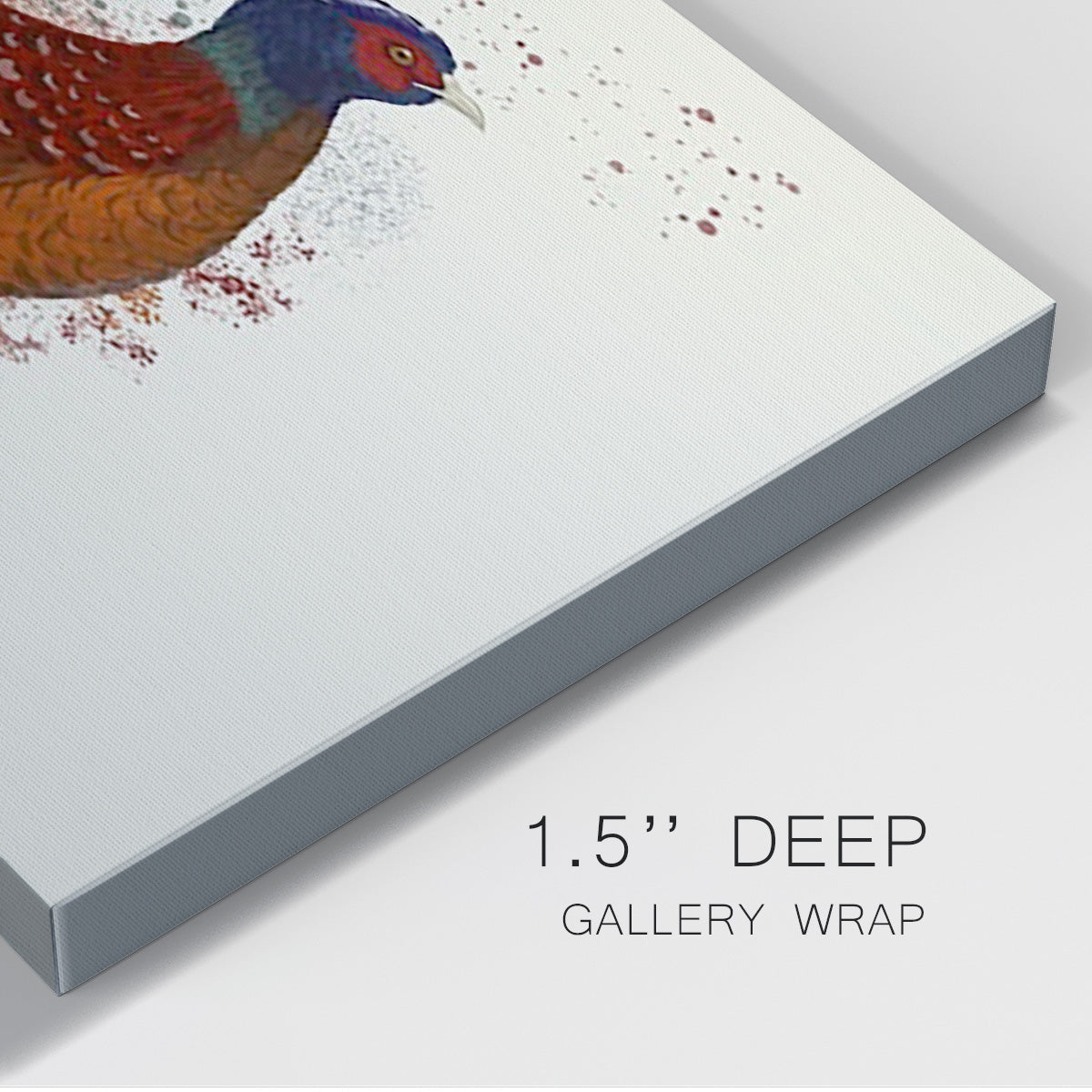 Pheasant Splash 4 Premium Gallery Wrapped Canvas - Ready to Hang