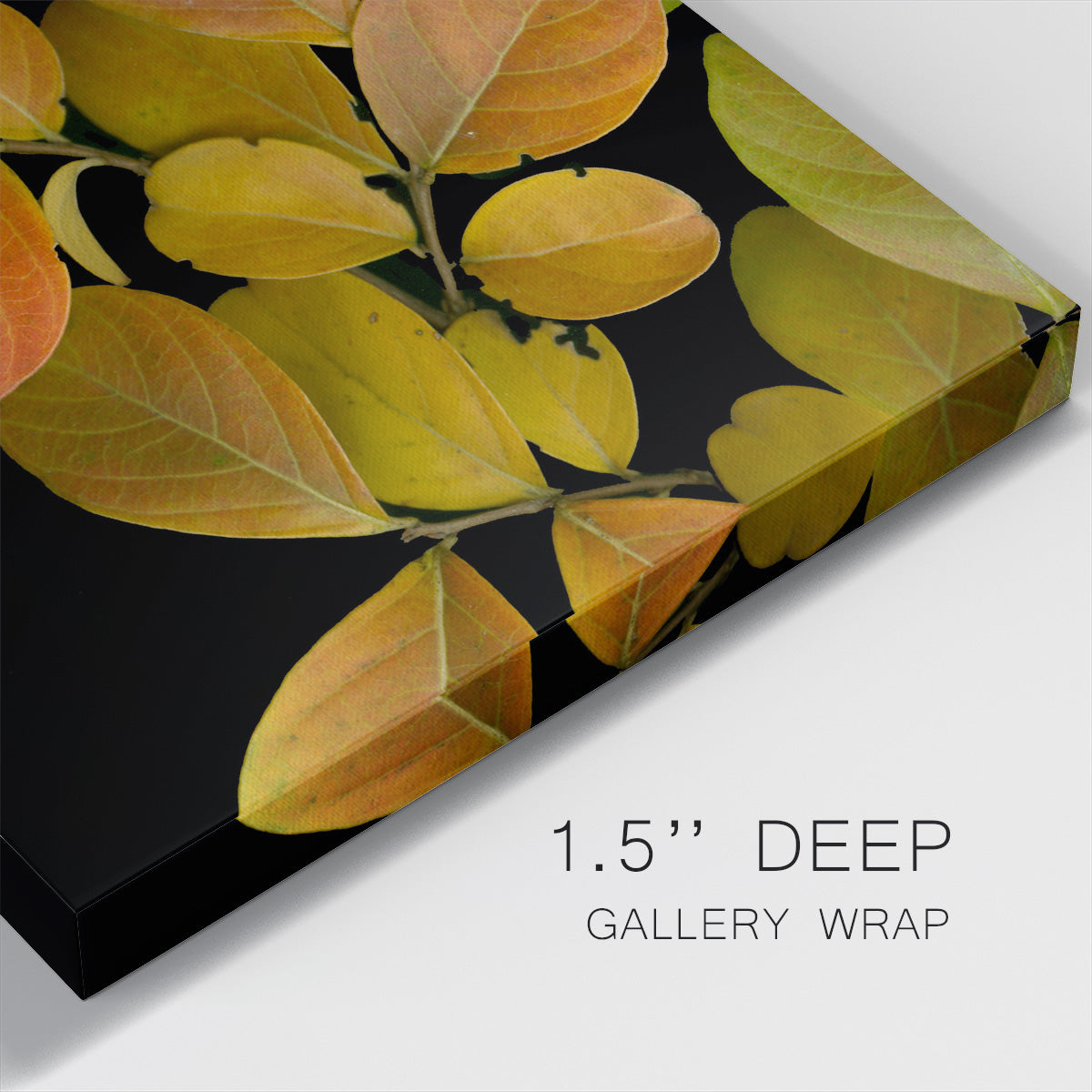 Small Vivid Leaves I (ST)-Premium Gallery Wrapped Canvas - Ready to Hang